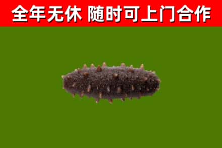潍坊市烟酒回收干海参.jpg